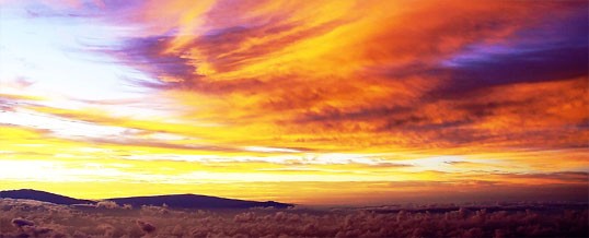 Out of Body Experience of Falling from a Great Height in a Dream